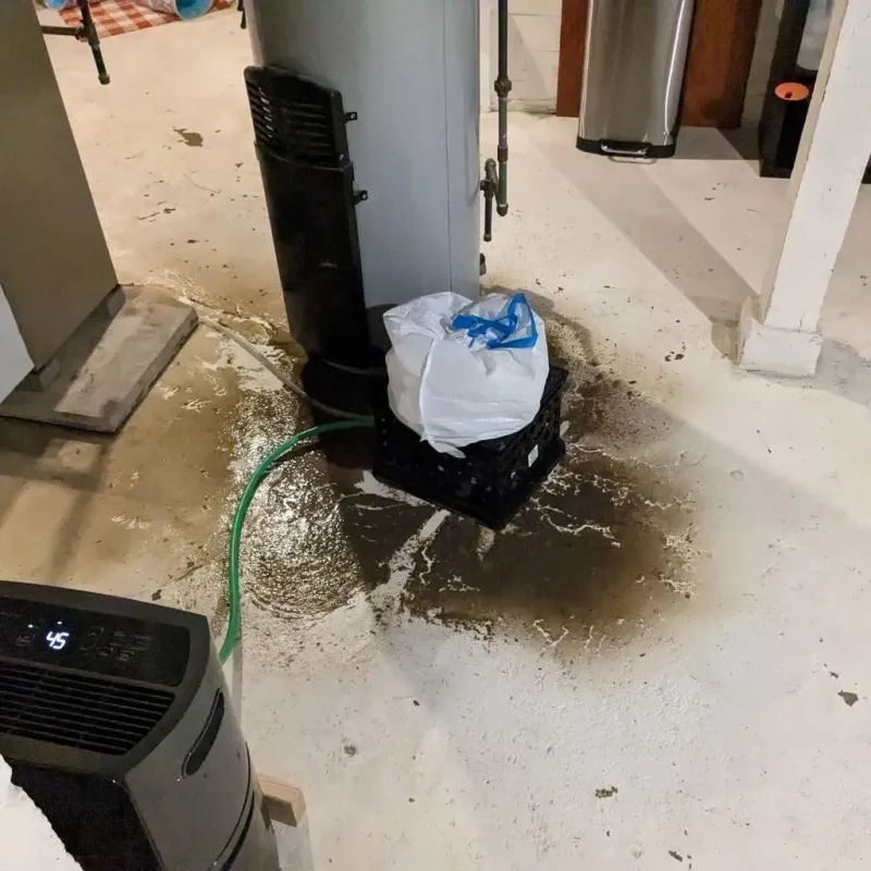 Sewage Backup Cleanup Service in Marble Hill, MO
